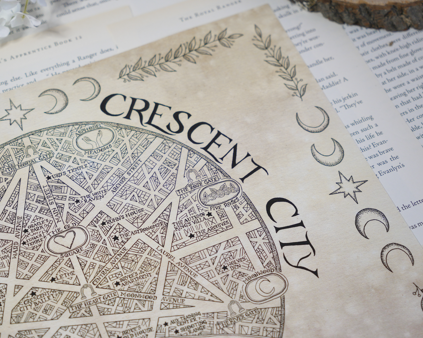 Crescent City Map | COLORED