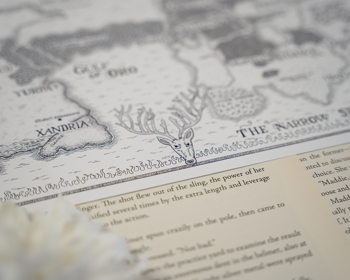 Throne of Glass Map