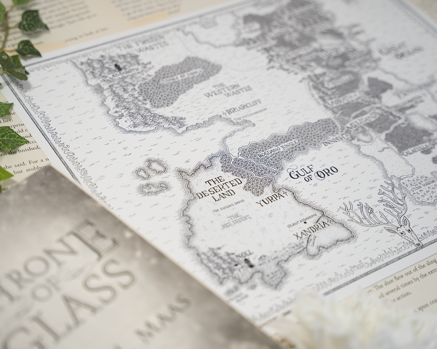 Throne of Glass Map